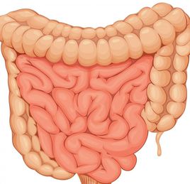 肠肿瘤