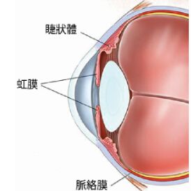 葡萄膜肿瘤