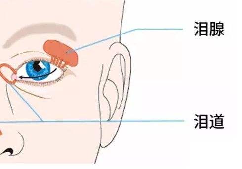 泪道阻塞