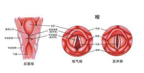 喉疾病